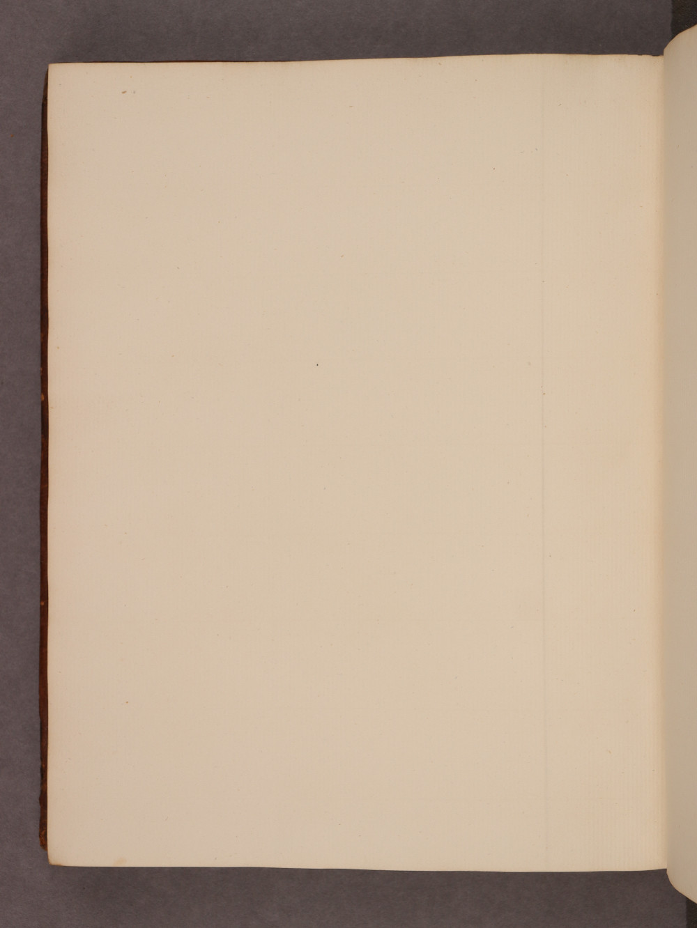 Folio 133 verso