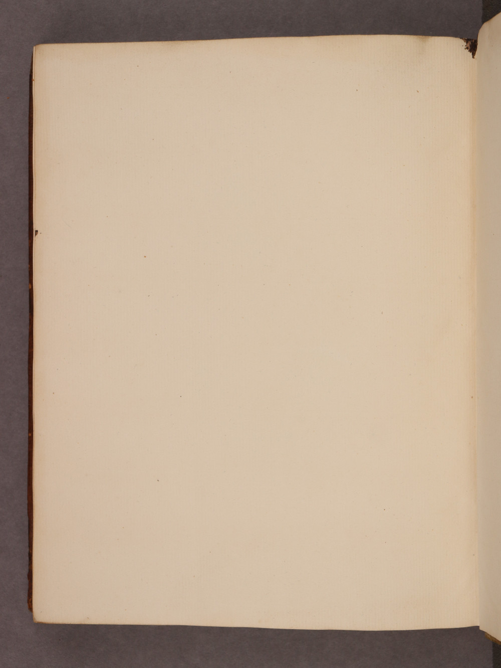 Folio 135 verso