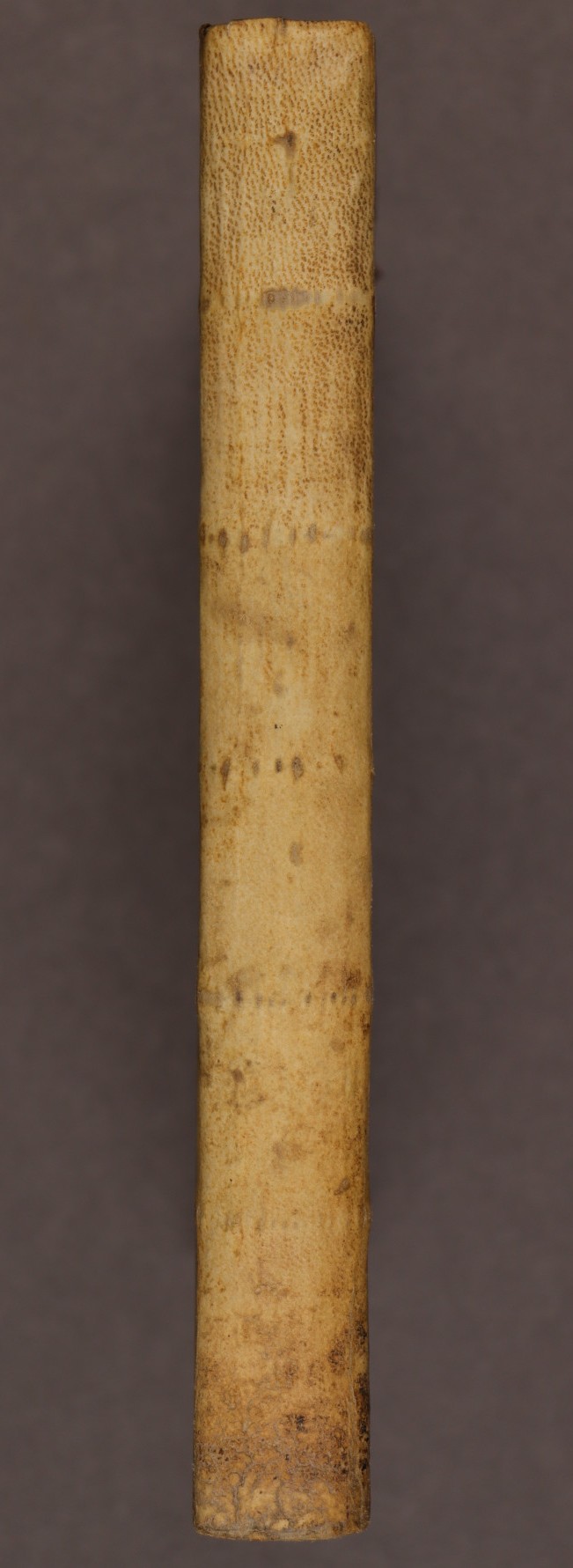 Spine