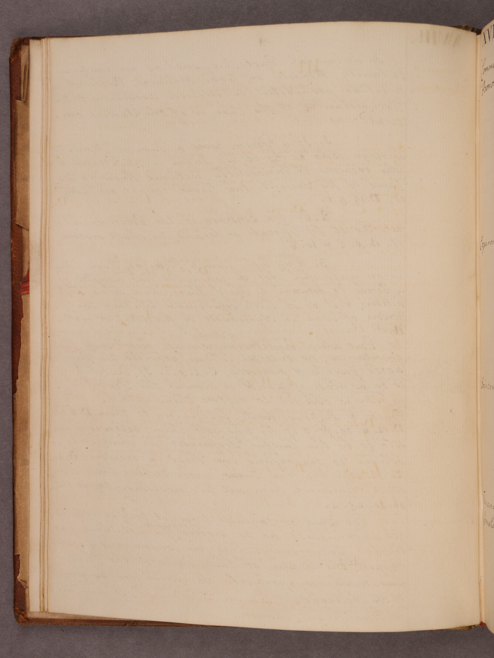 Folio 4 verso