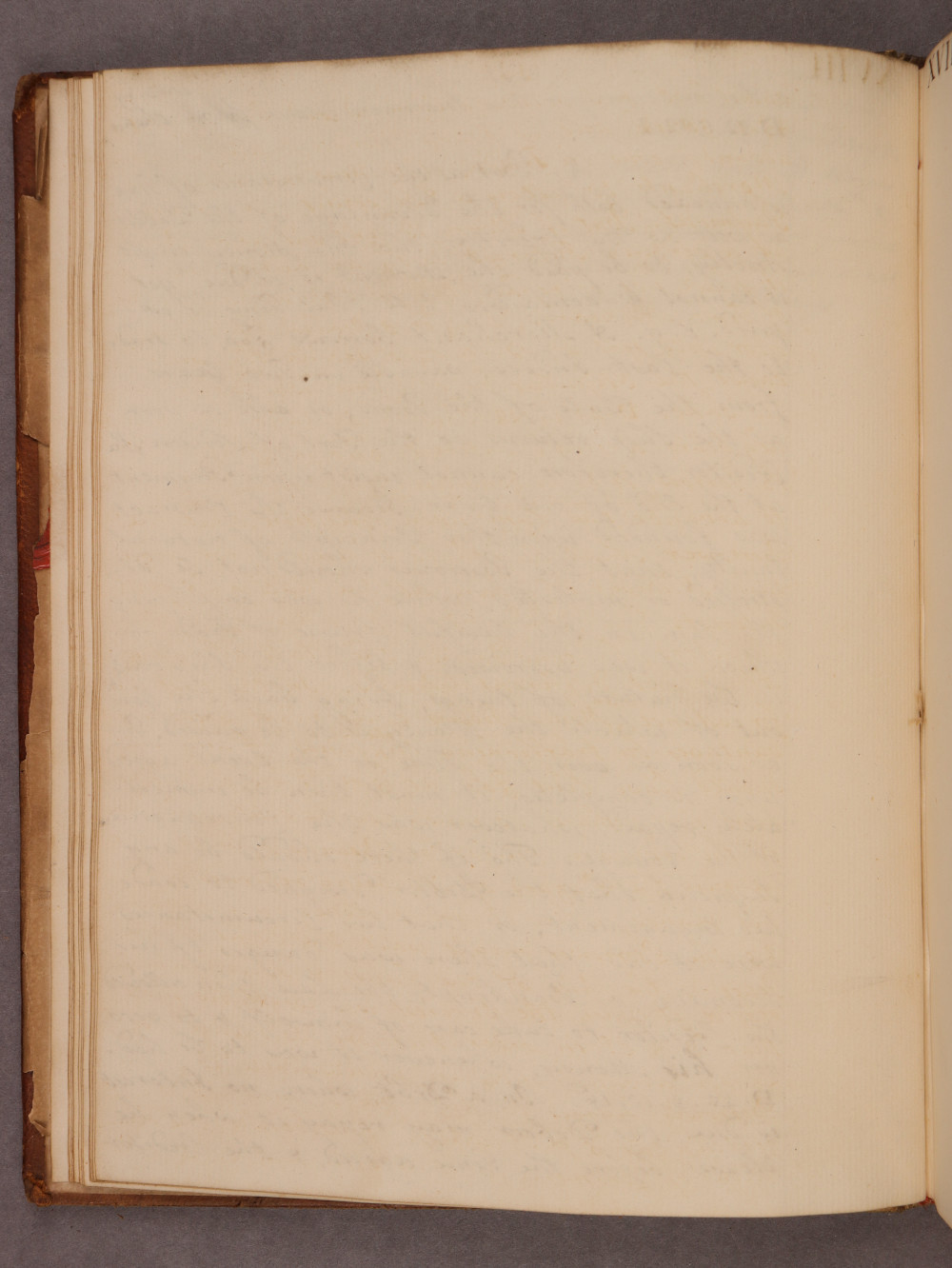 Folio 11 verso