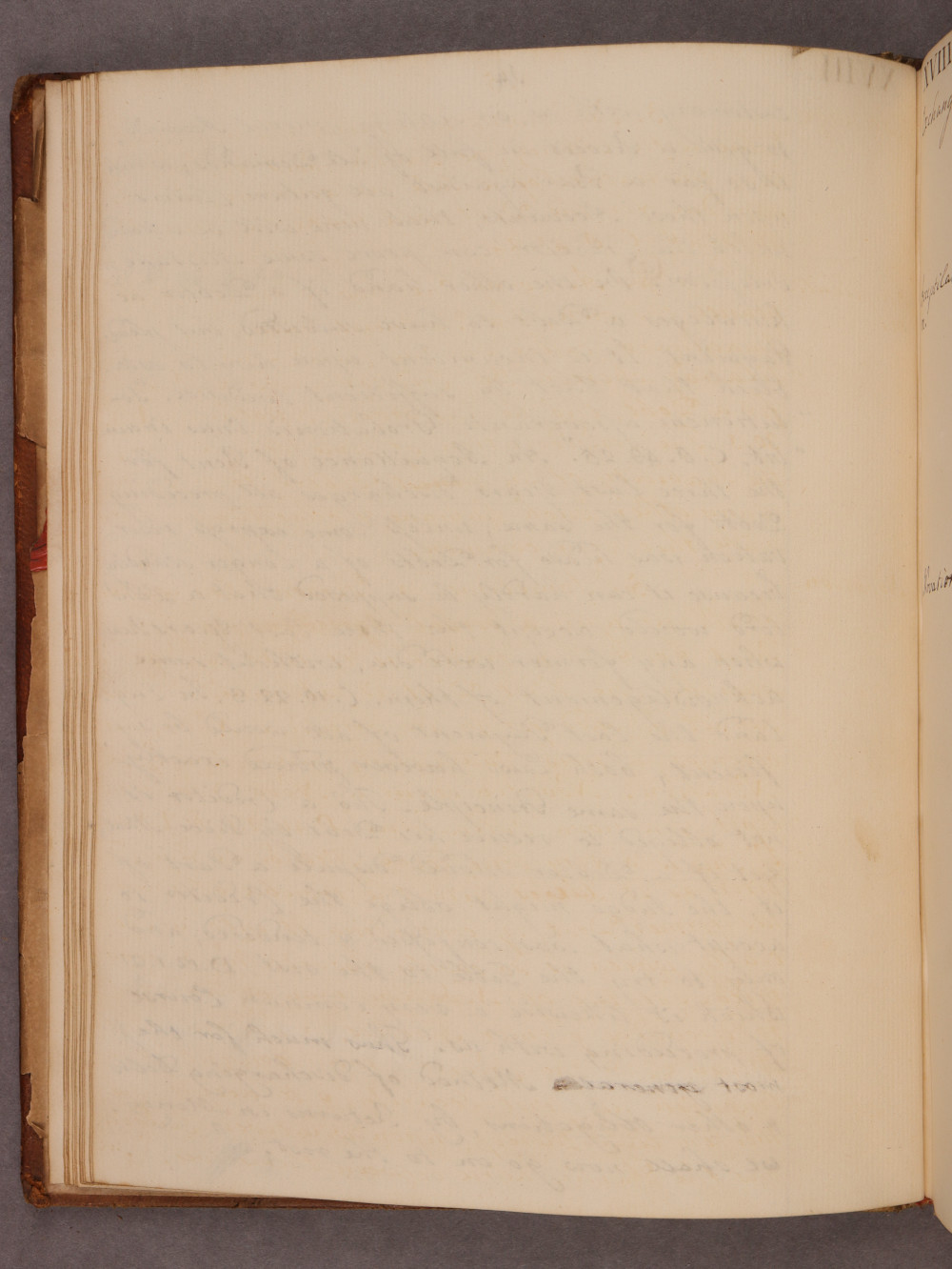 Folio 14 verso