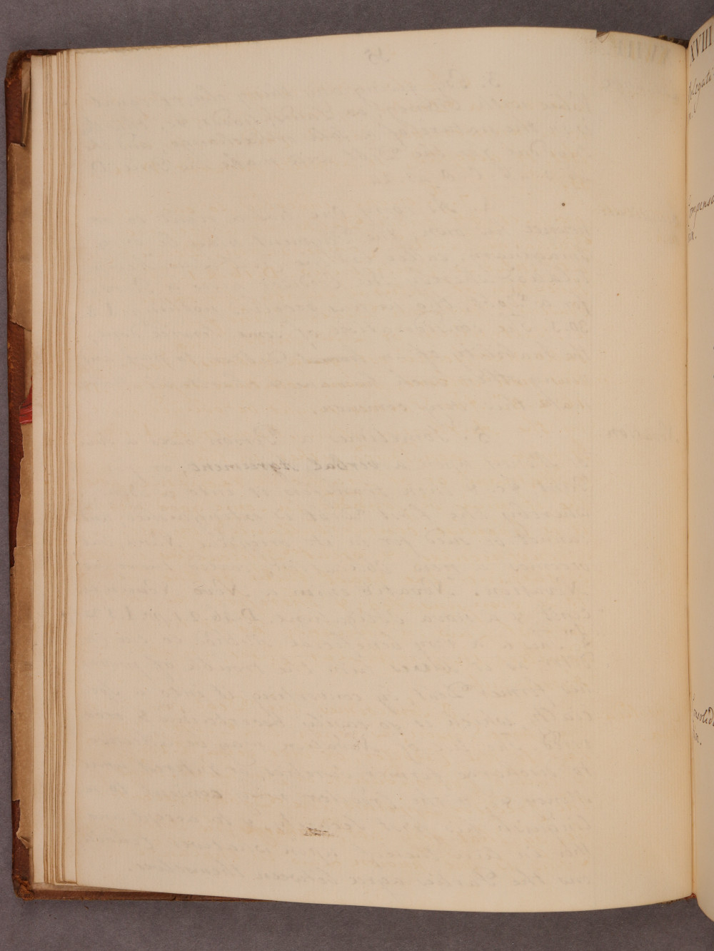 Folio 15 verso