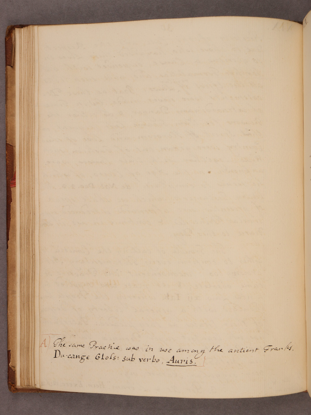 Folio 30 verso