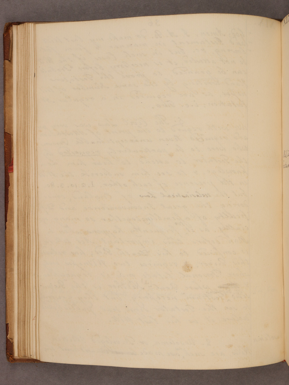 Folio 36 verso