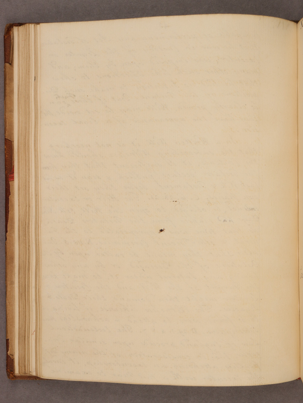 Folio 41 verso