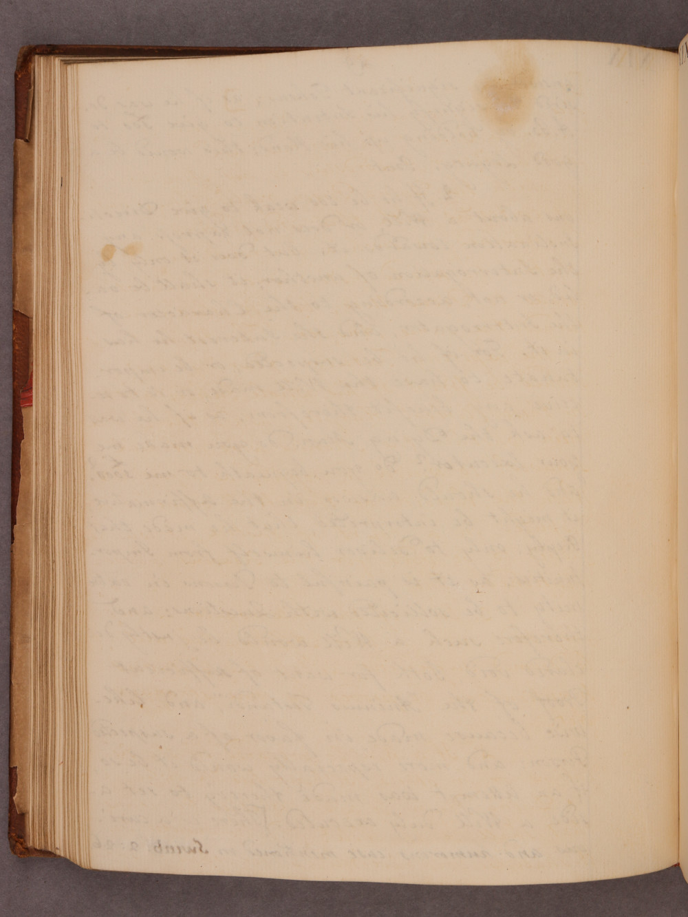 Folio 49 verso