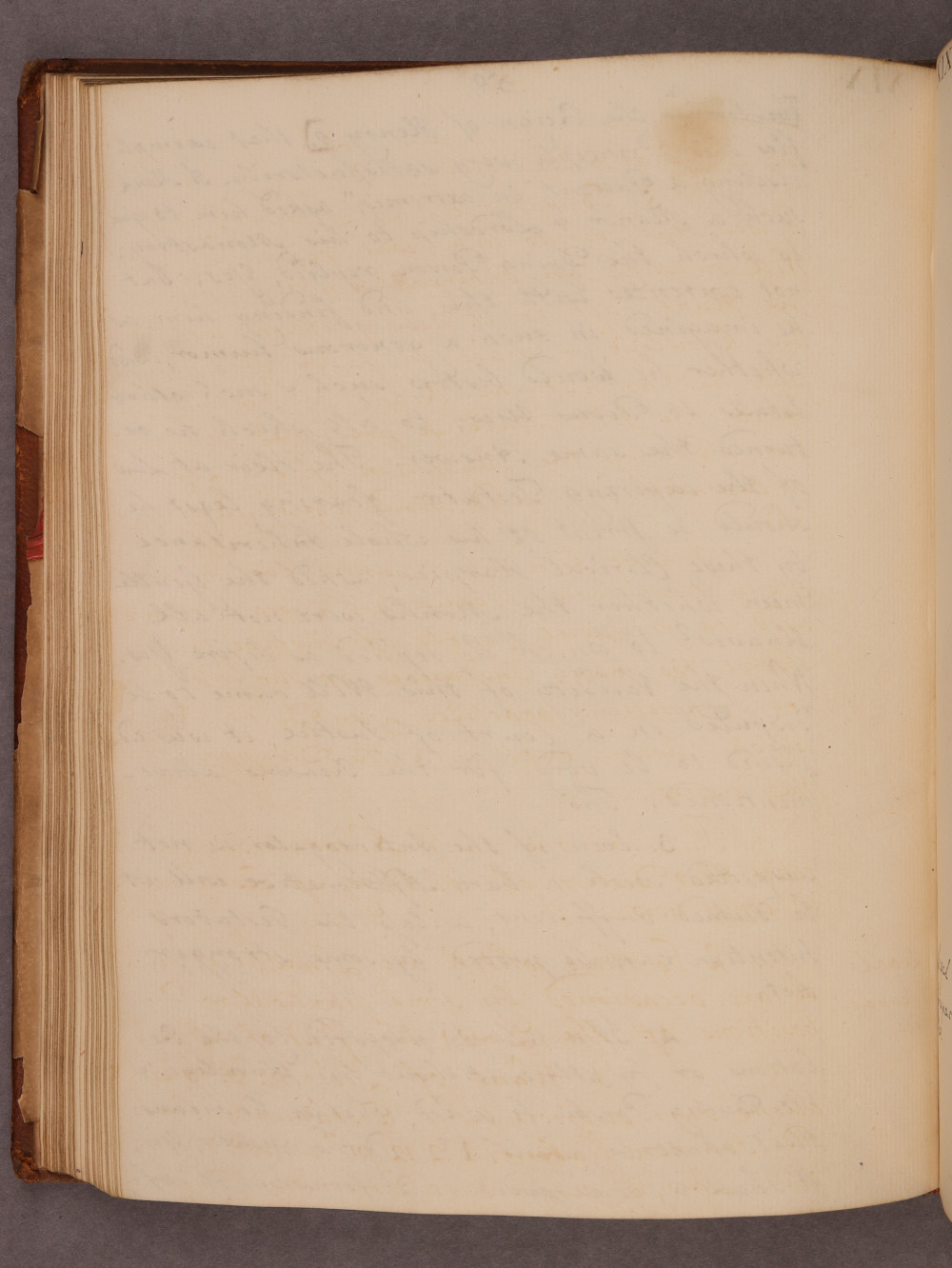Folio 50 verso