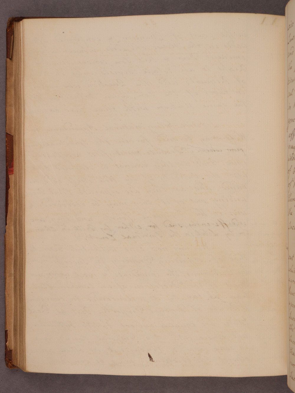 Folio 84 verso