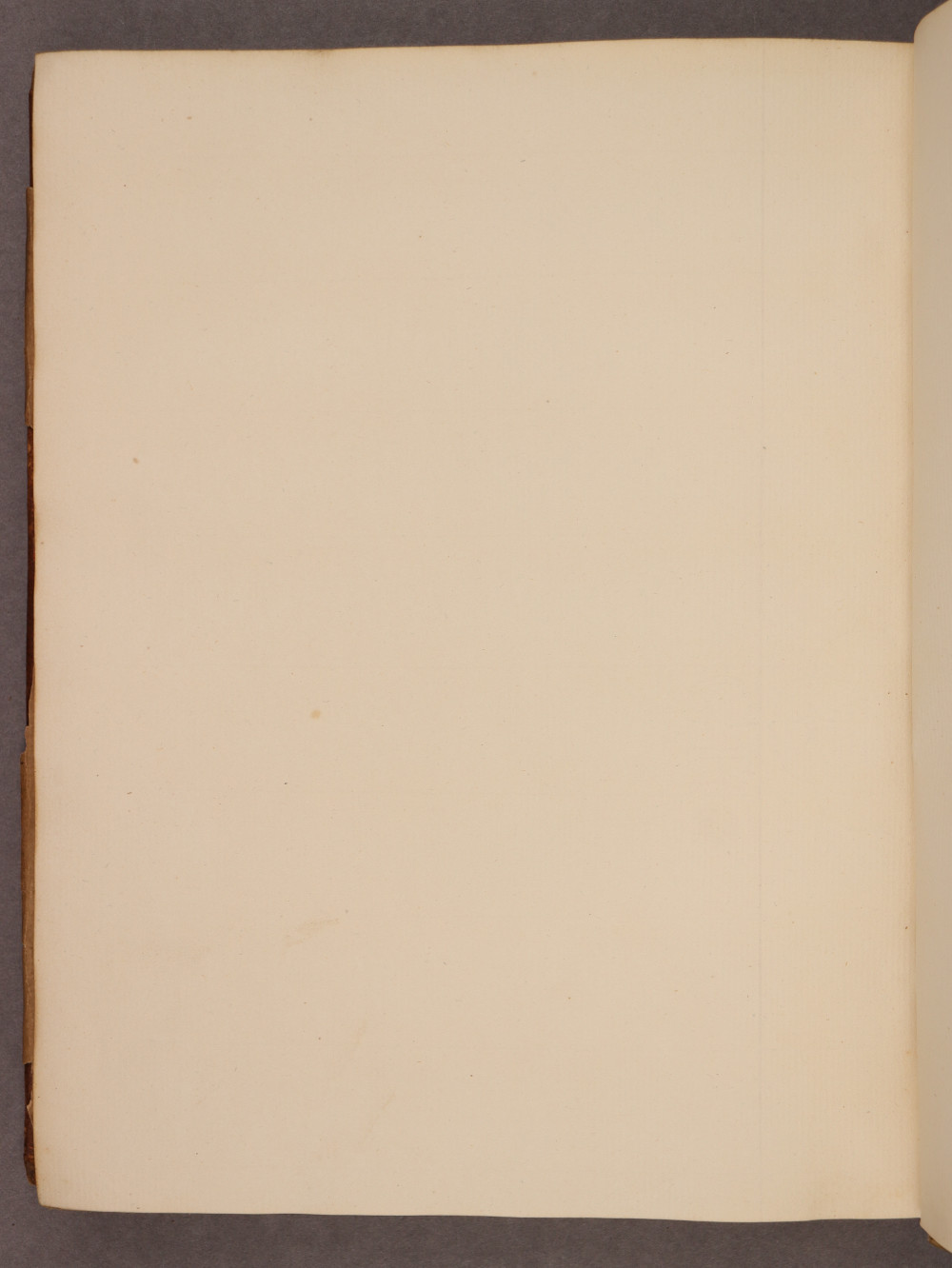 Folio 134 verso