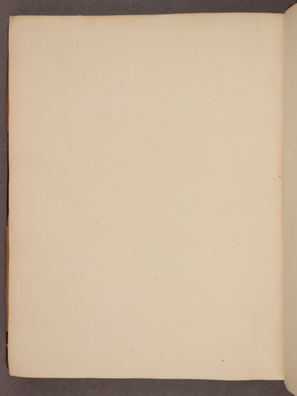 Folio 135 verso