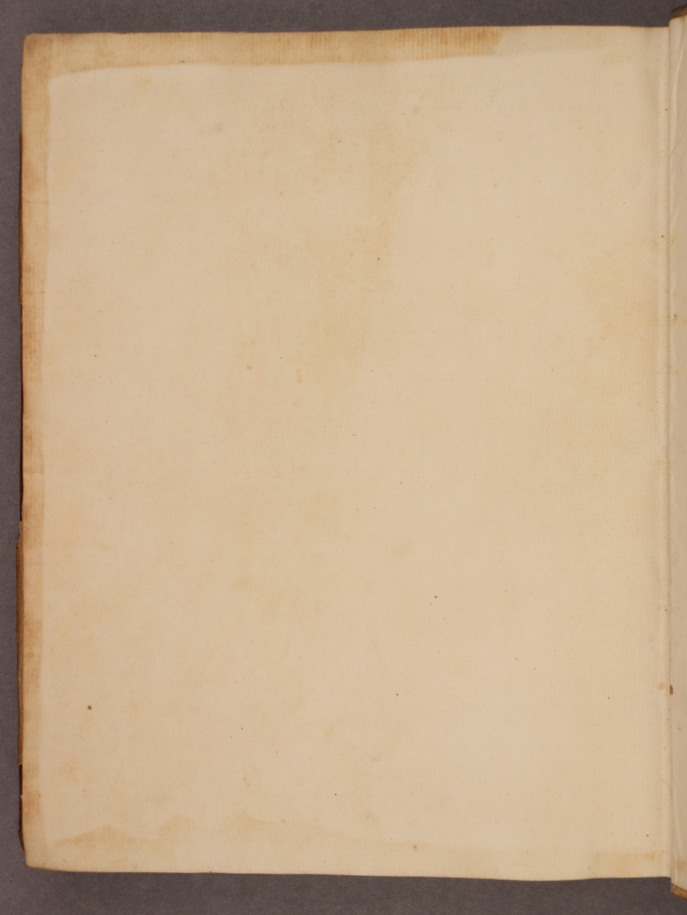 Folio 136 verso