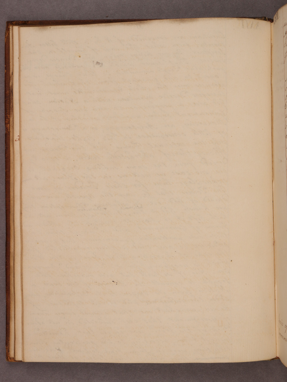 Folio 11 verso