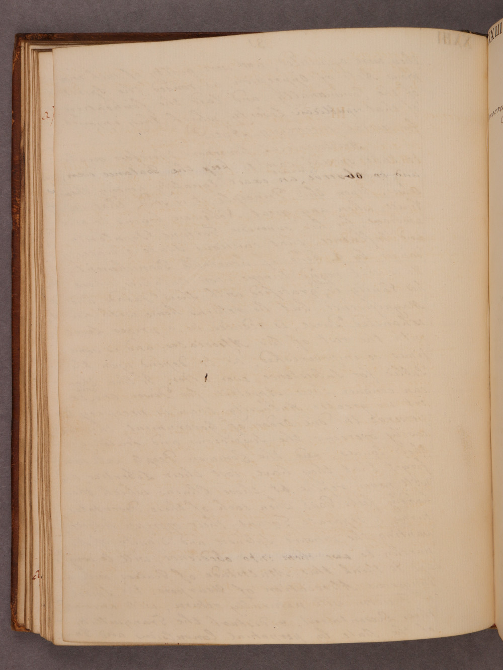 Folio 31 verso