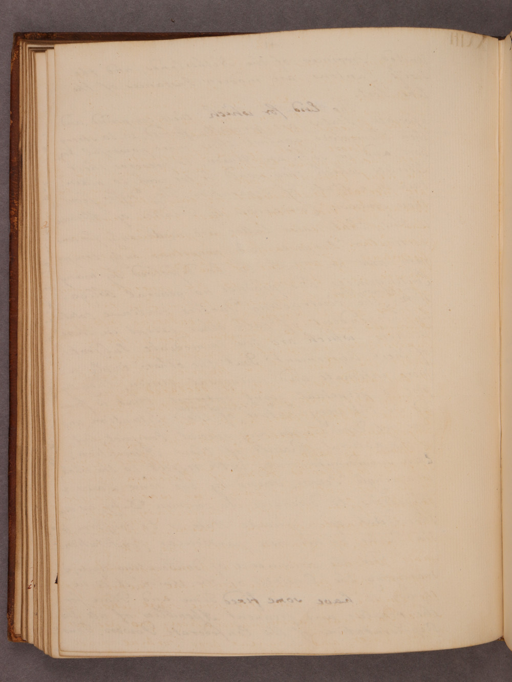 Folio 41 verso