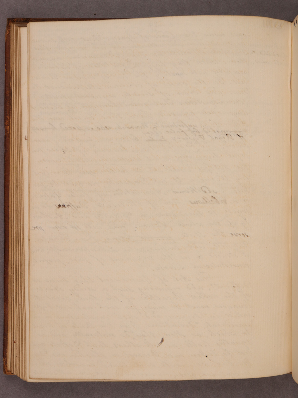 Folio 49 verso