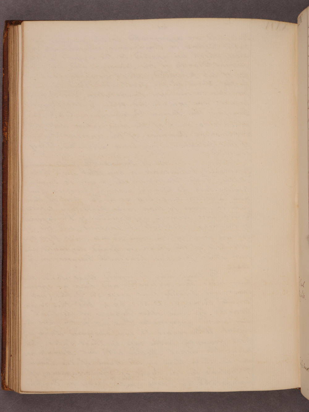 Folio 61 verso