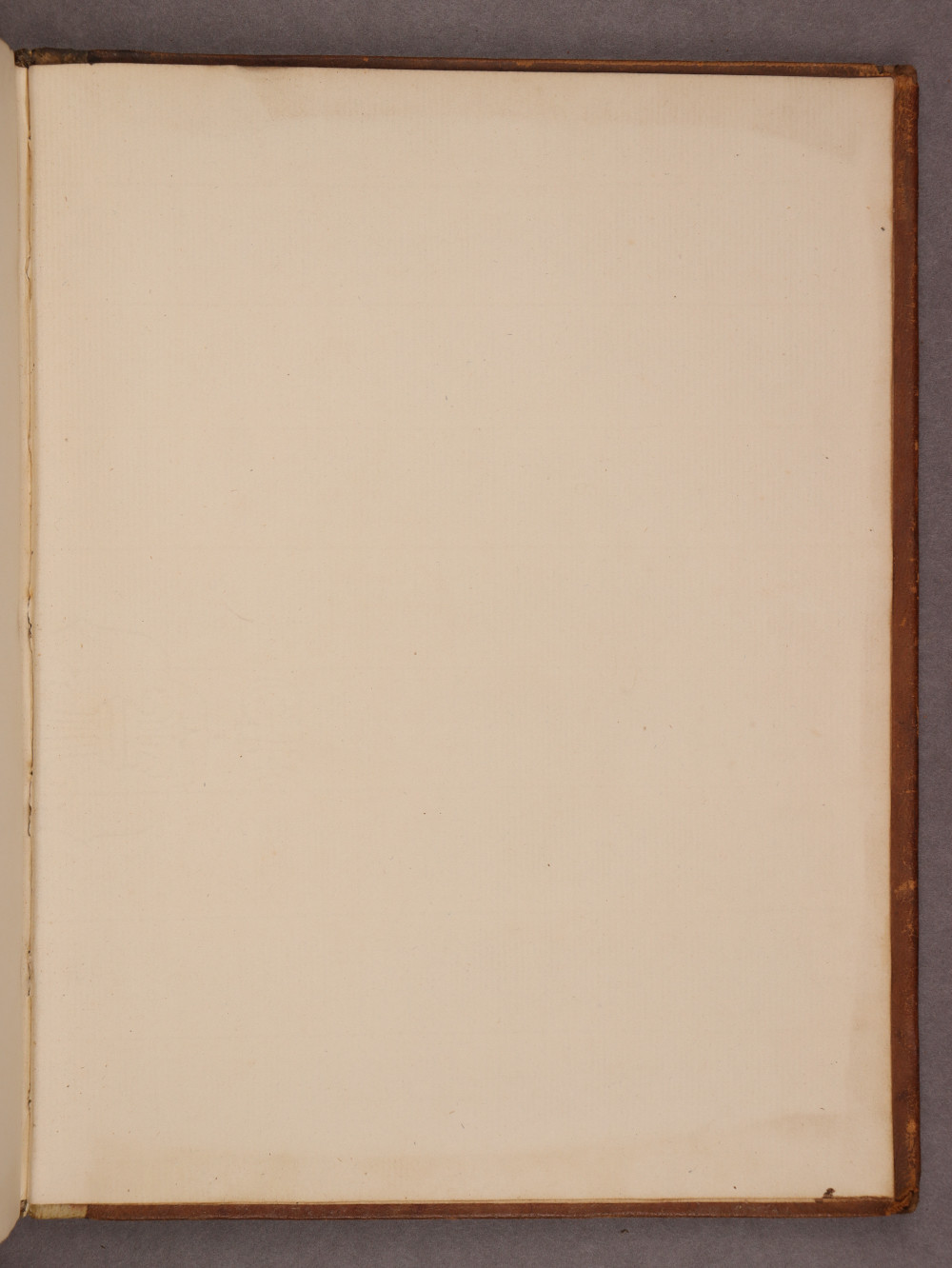 Folio 137 recto