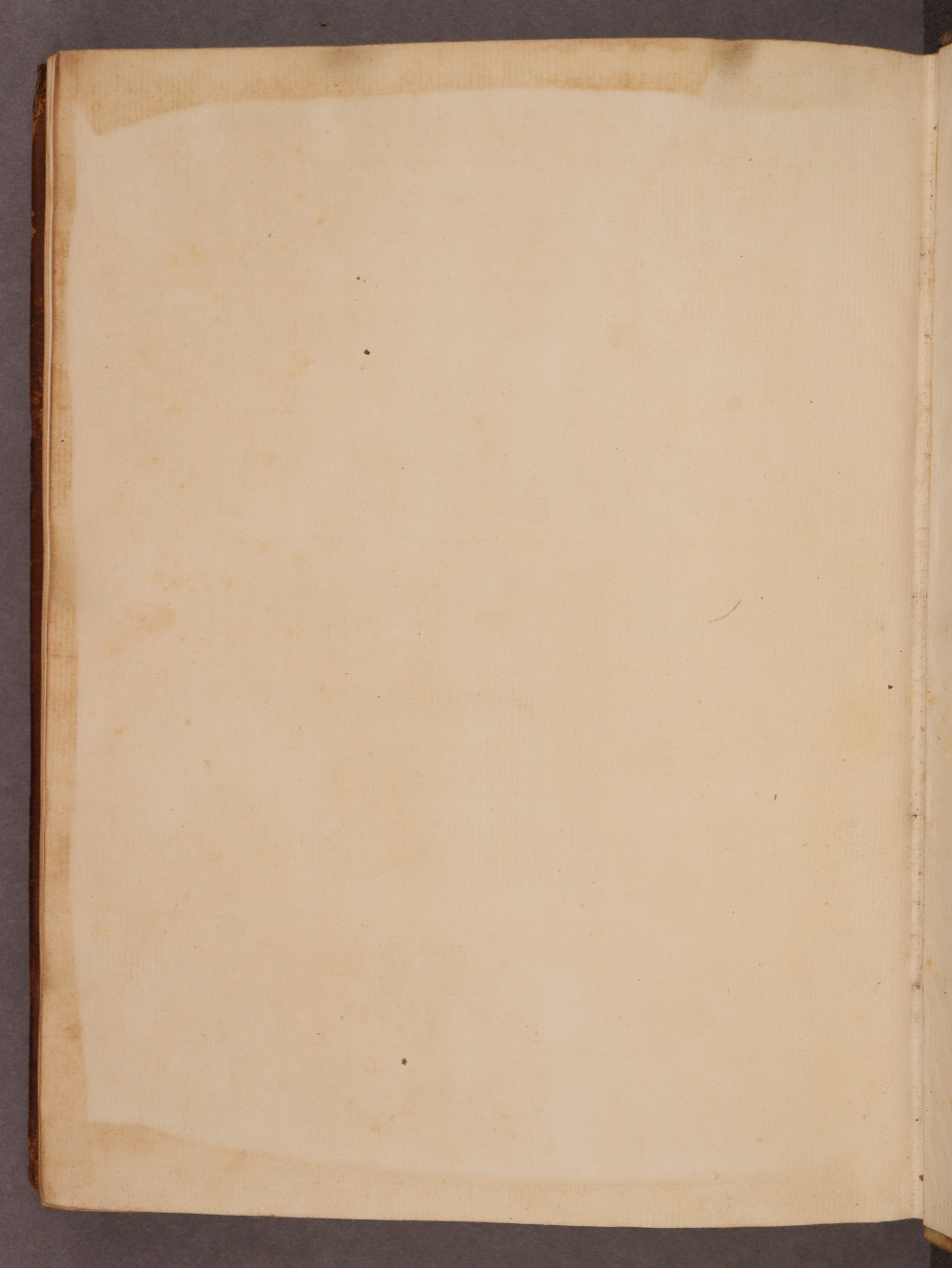 Folio 137 verso