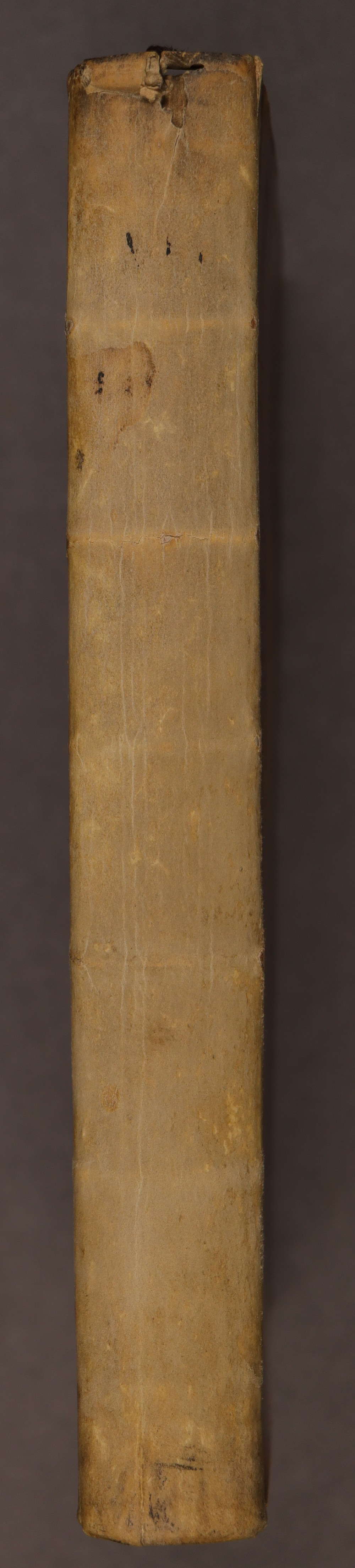 Spine