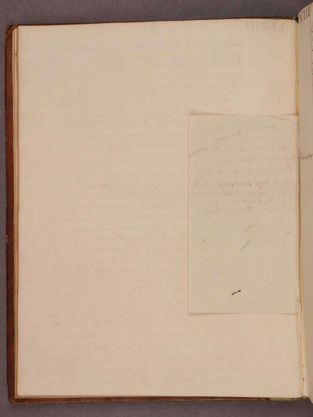 Folio 10 insert verso