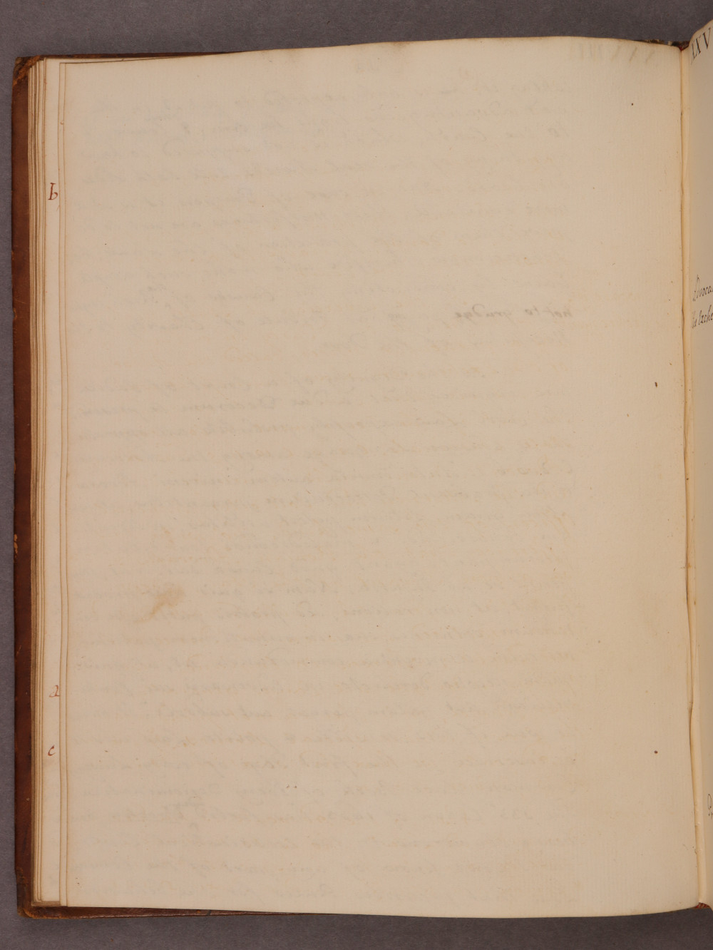 Folio 14 verso