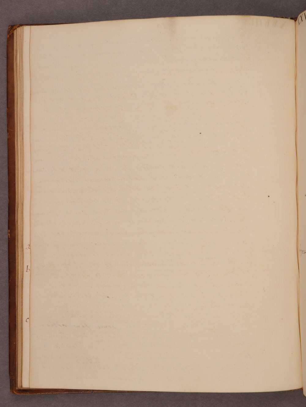 Folio 19 verso