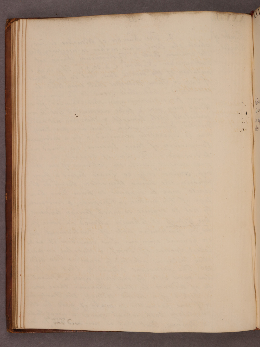 Folio 31 verso