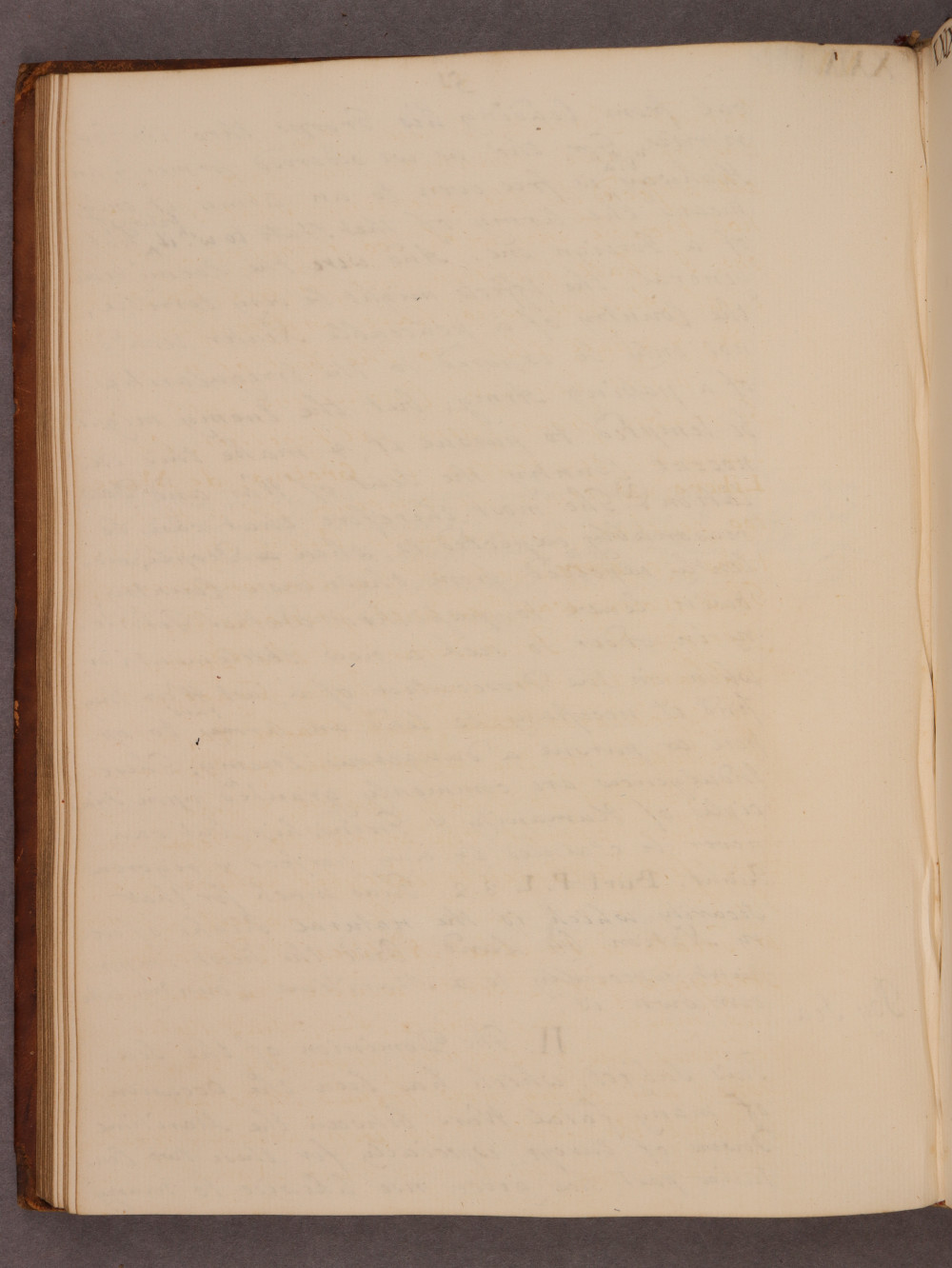 Folio 51 verso