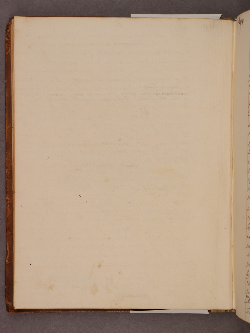 Folio 5 verso