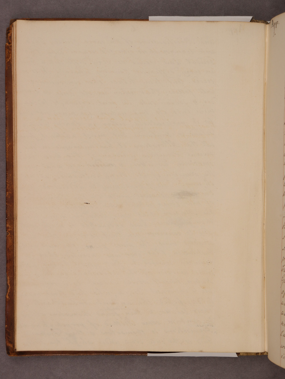Folio 6 verso