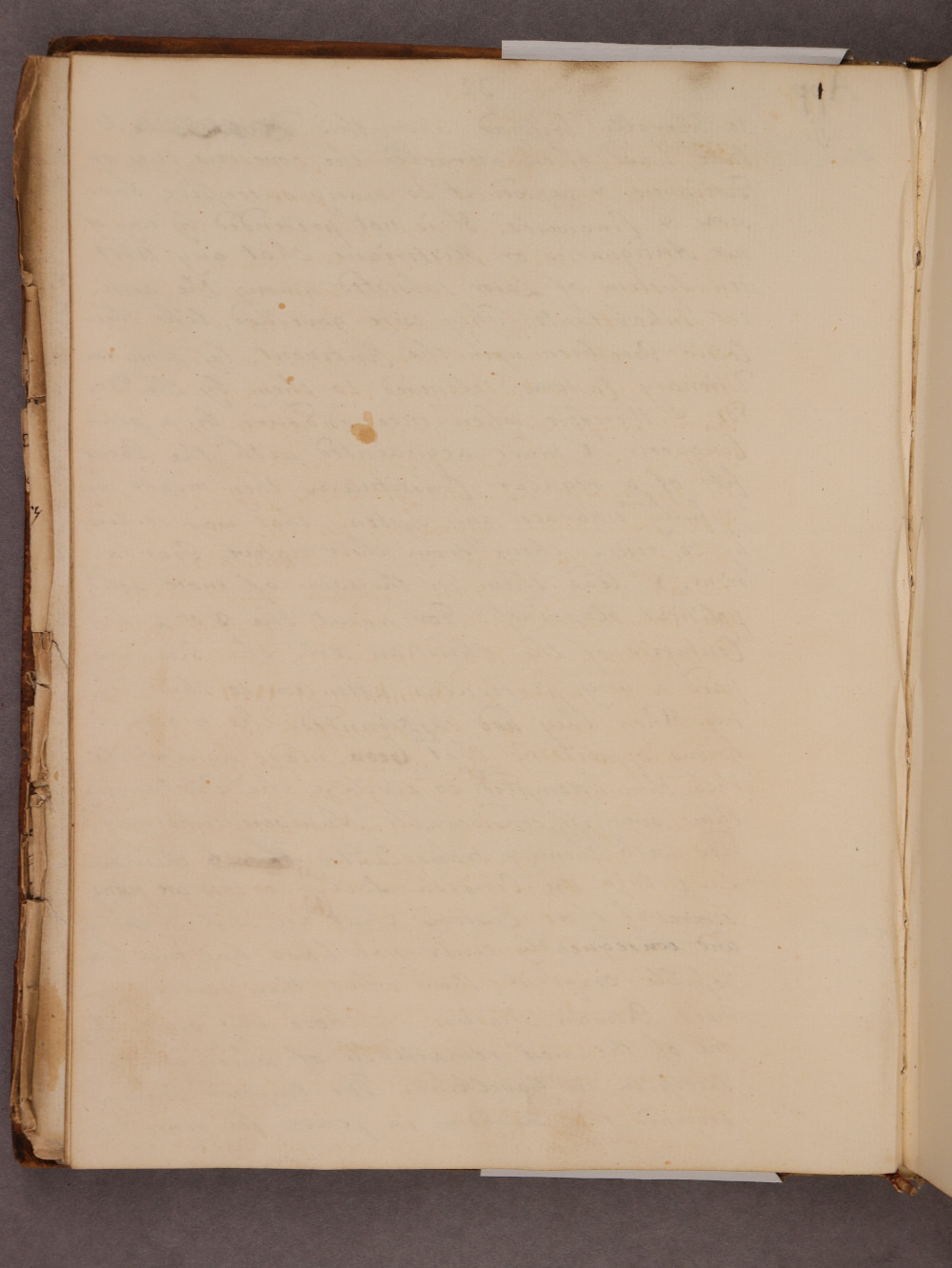 Folio 32 verso