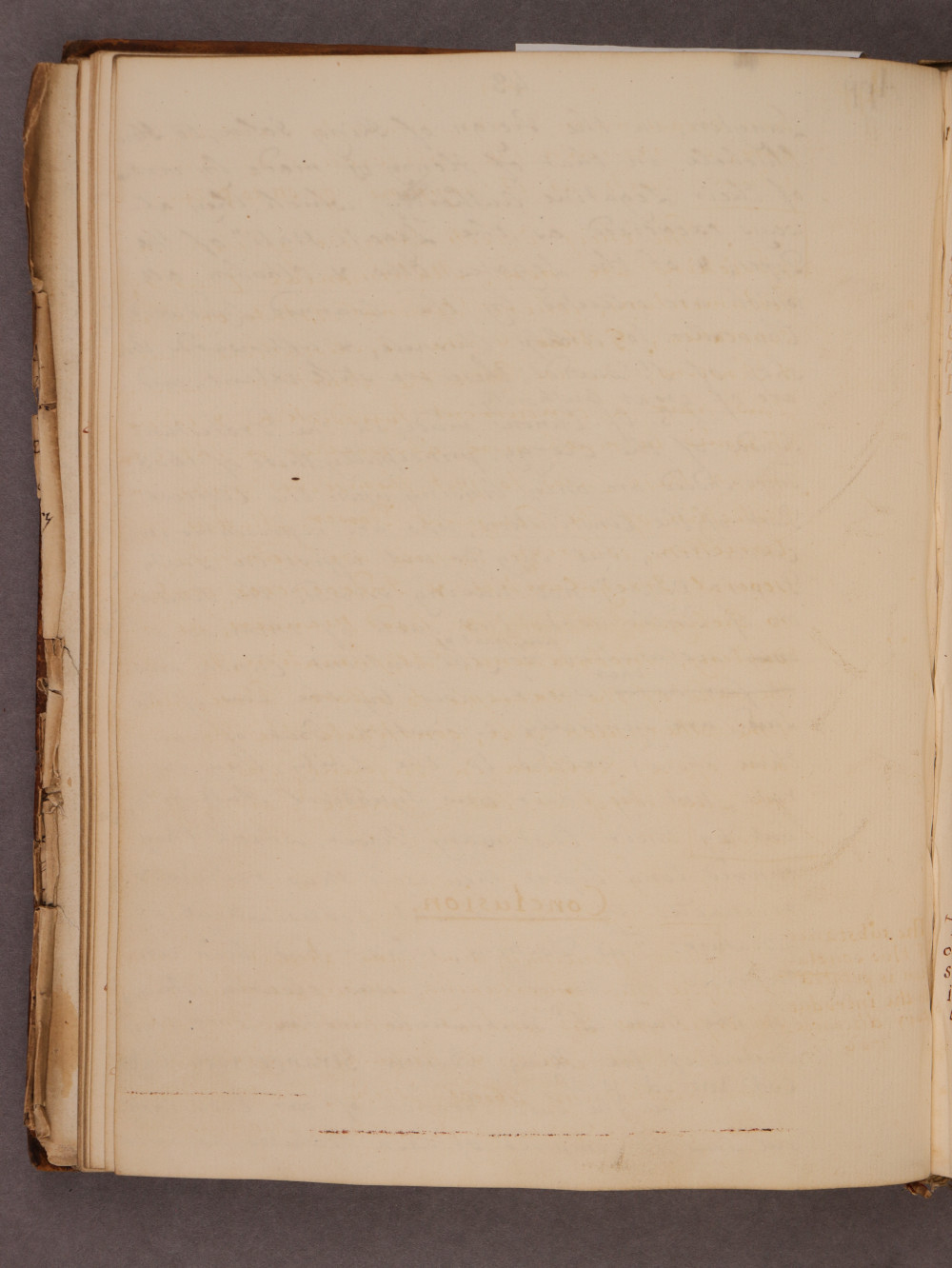 Folio 43 verso