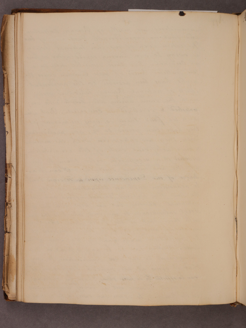 Folio 46 verso