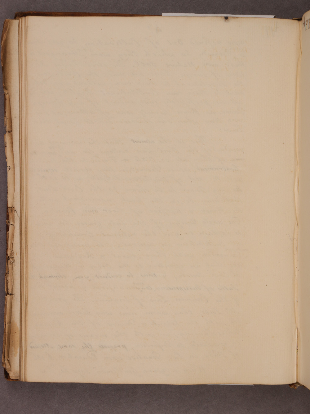 Folio 47 verso