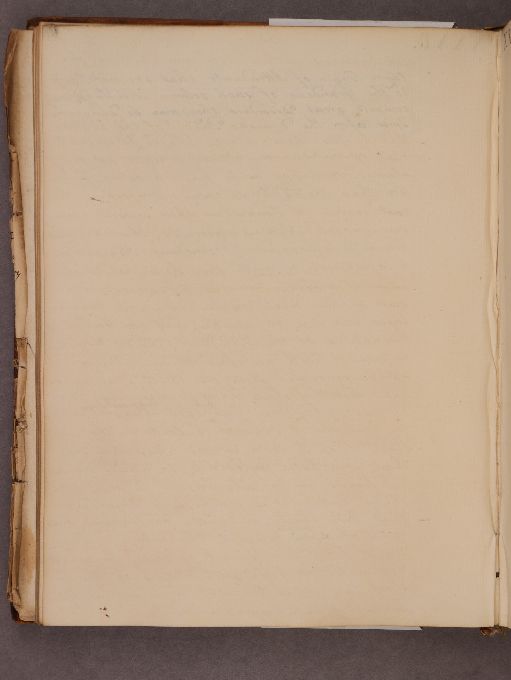 Folio 51 verso