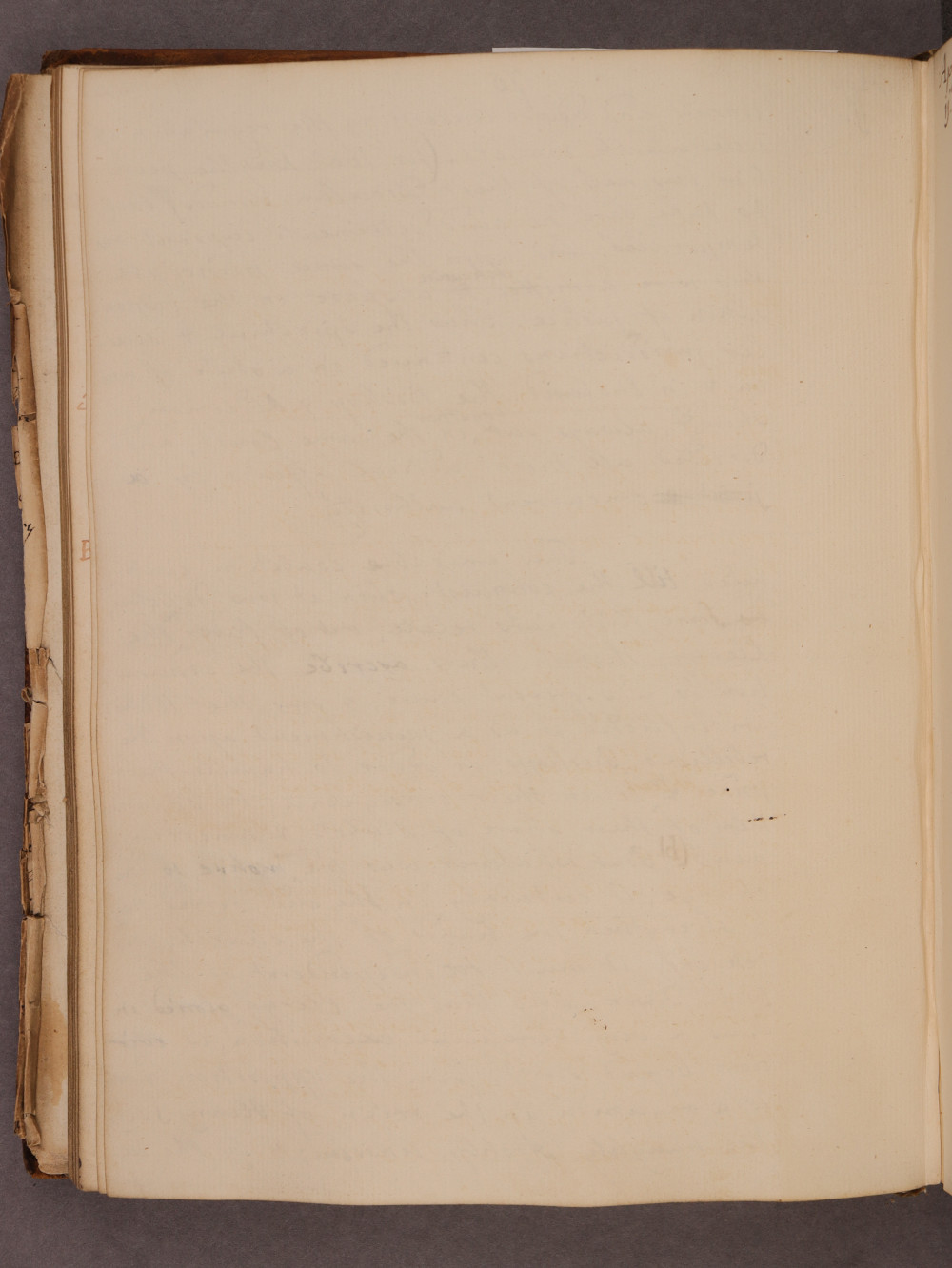 Folio 75 verso