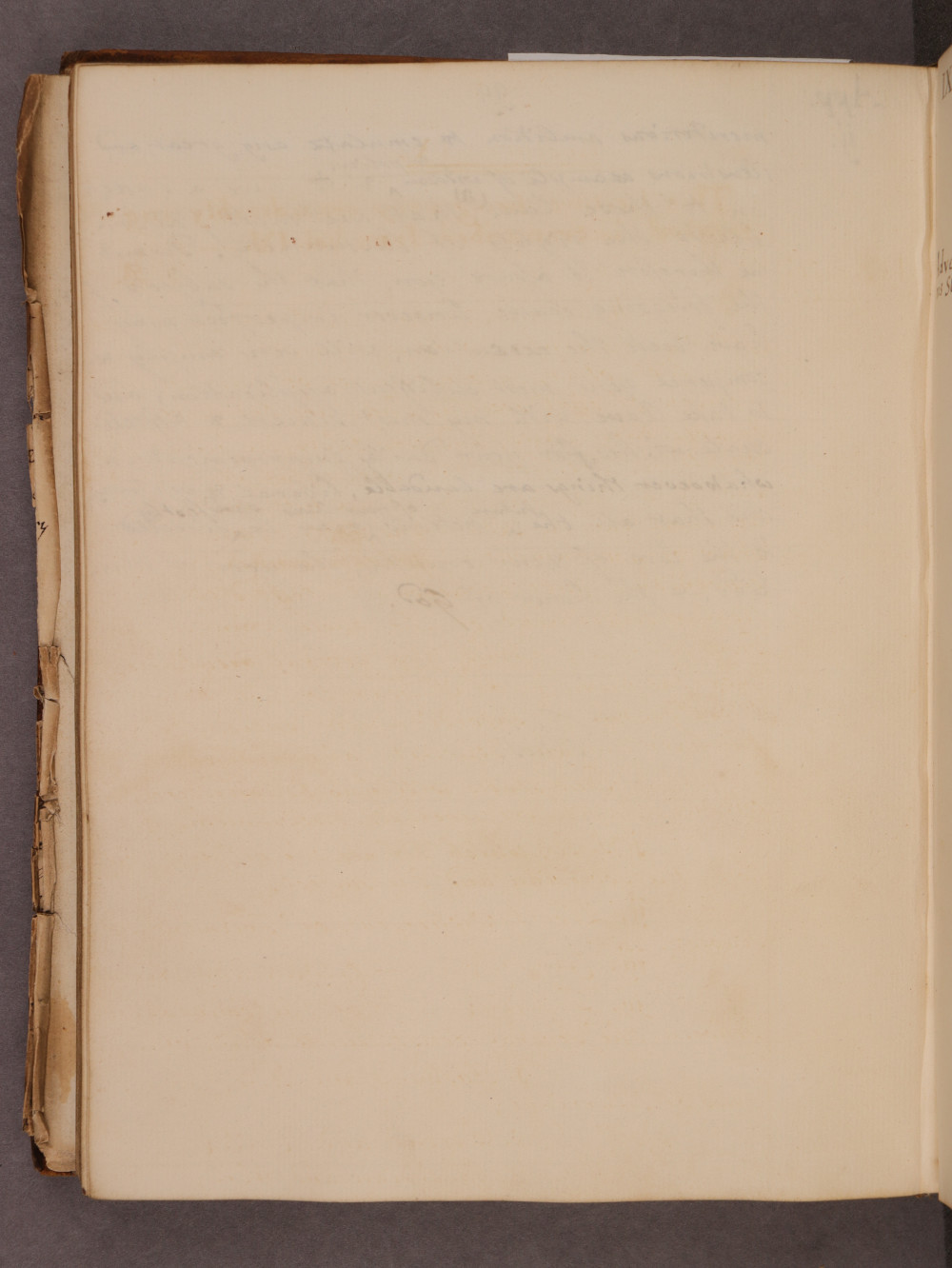 Folio 99 verso