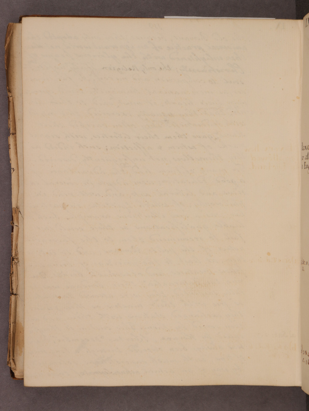 Folio 113 verso