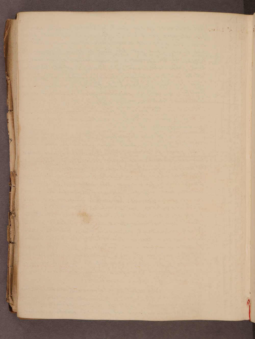 Folio 126 verso