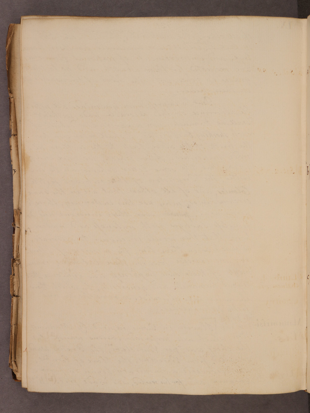 Folio 131 verso