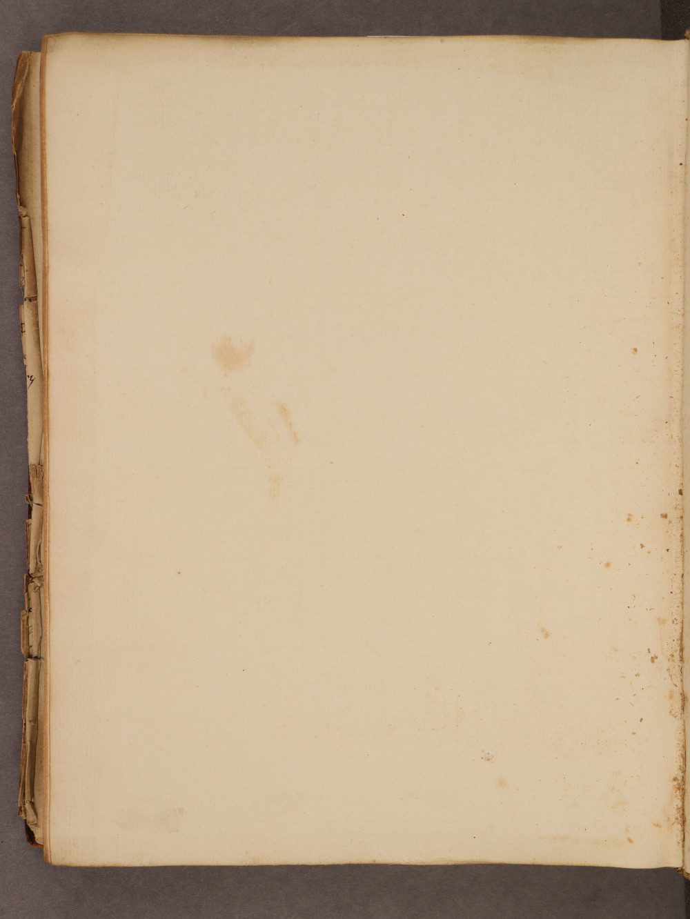 Folio 140 verso