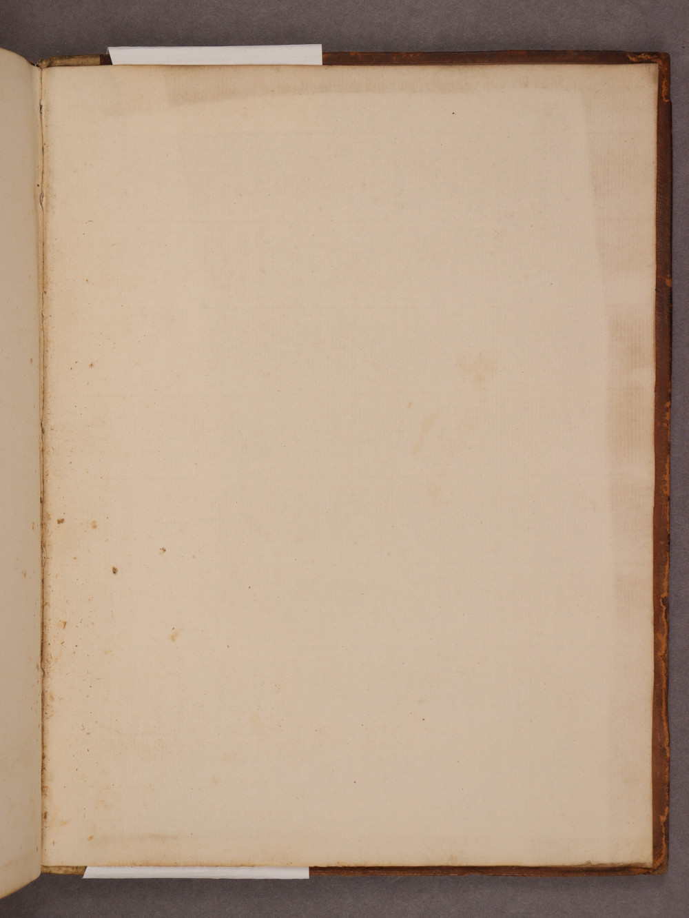 Folio 141 recto