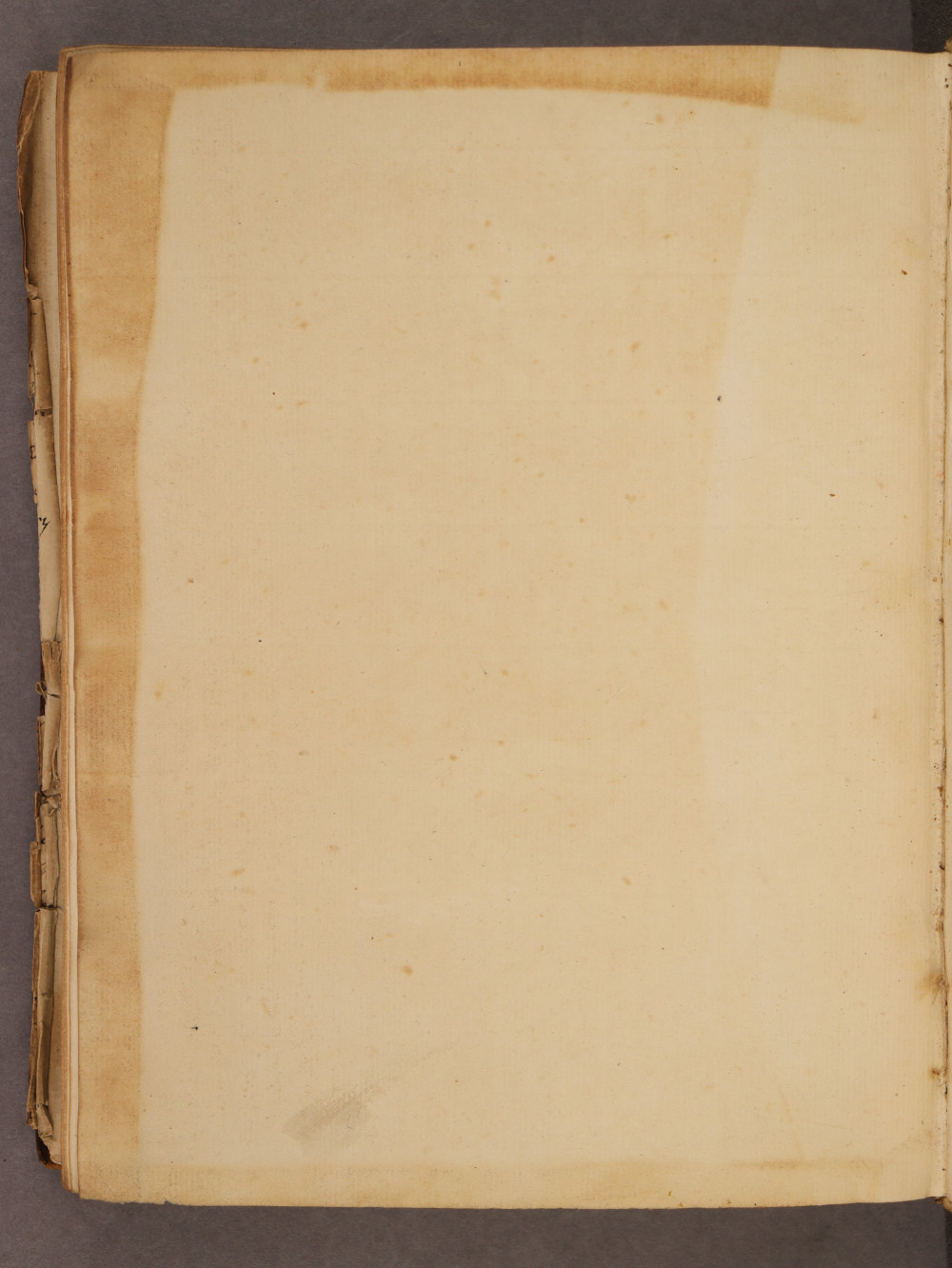 Folio 141 verso