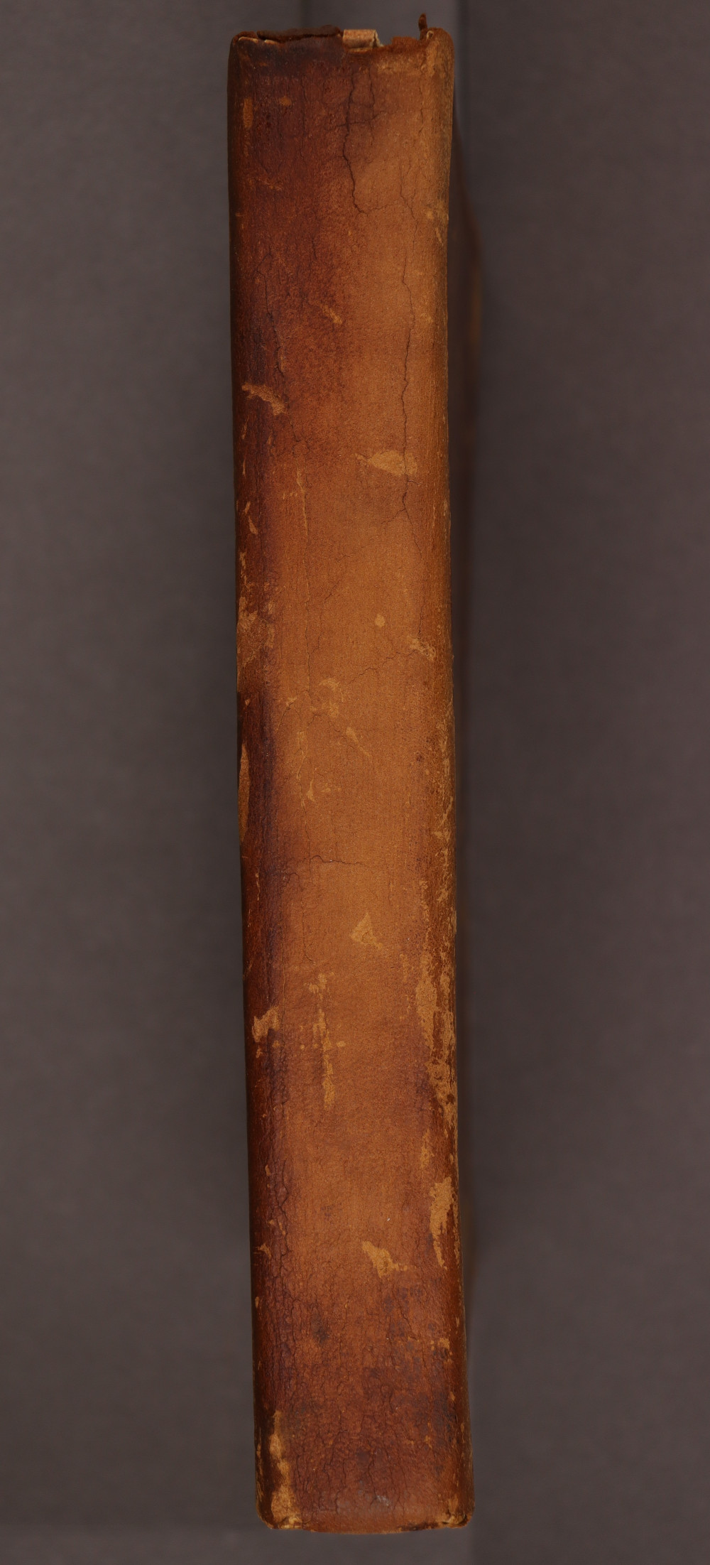 Spine