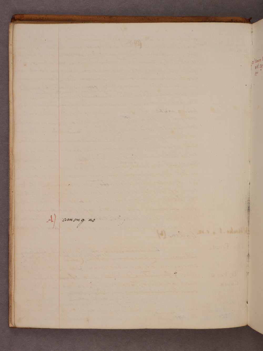 Folio 11 verso