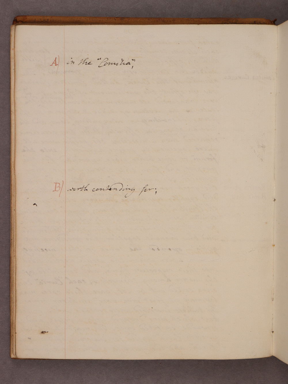 Folio 13 verso