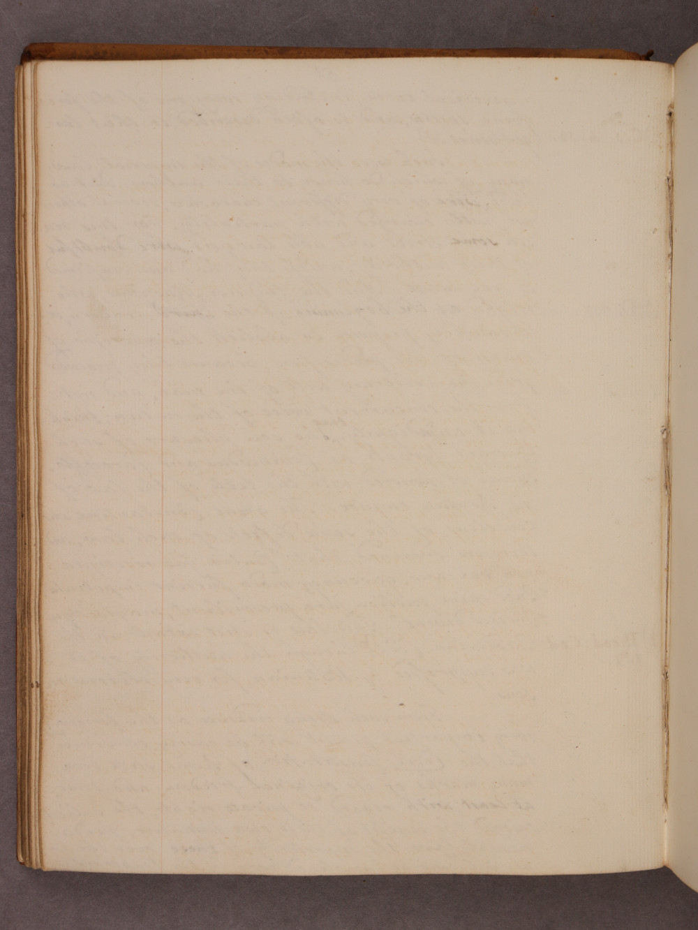 Folio 51 verso
