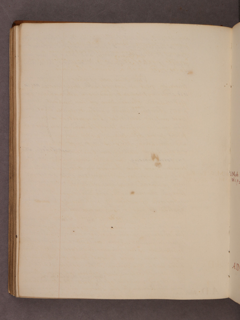 Folio 81 verso