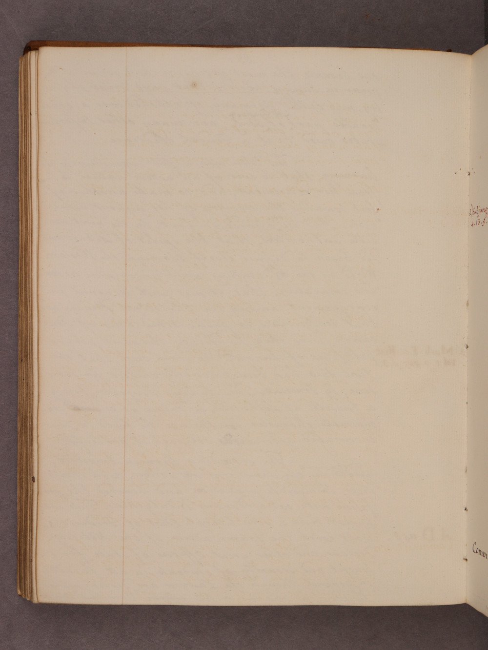 Folio 82 verso